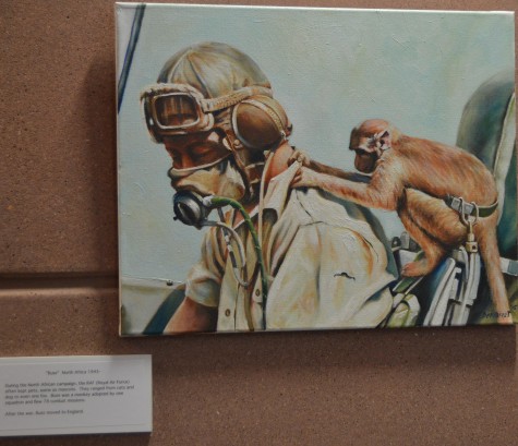 This is a painting by Demarest of Buss the monkey who was adopted by a squadron of the Royal Air Force. The Royal Air Force was the United Kingdom's aerial warfare force.