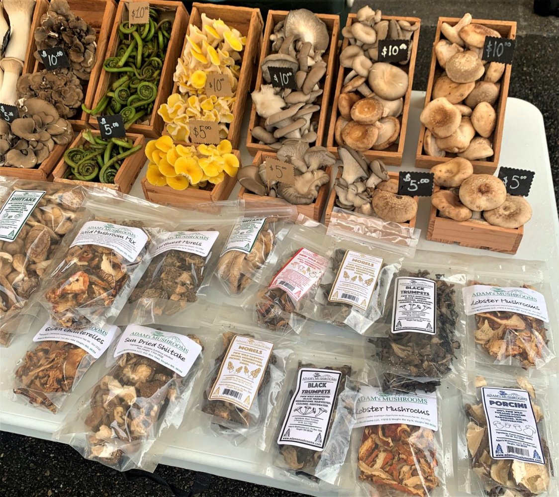 Veggies and mushrooms in all shapes and sizes at a farmers market stand on April 24th. The Market moved back to Pioneer Park Pavilion around Mother\'s Day. It runs every Saturday from 9 a.m. to 2 p.m.