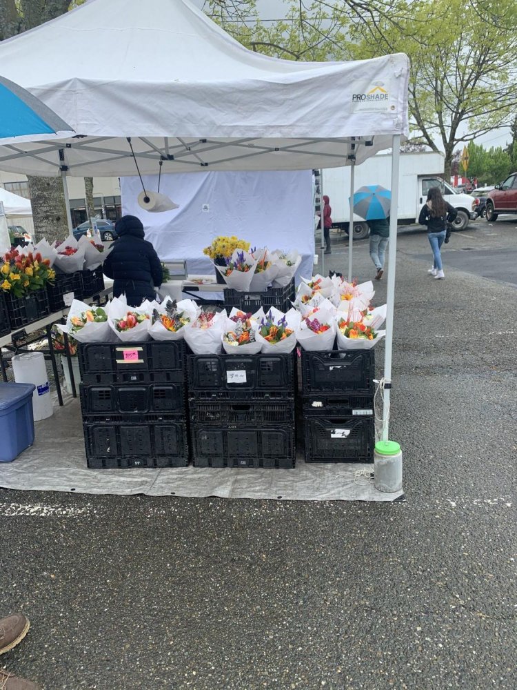 More beautiful bouquets in the rain on April 24th. The Market moved back to Pioneer Park Pavilion around Mother\'s Day. It runs every Saturday from 9 a.m. to 2 p.m.