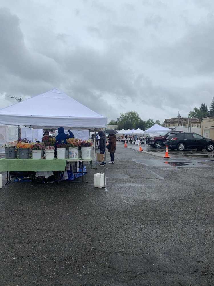 Another flower booth selling in rain or shine on April 24th. The Market moved back to Pioneer Park Pavilion around Mother\'s Day. It runs every Saturday from 9 a.m. to 2 p.m.