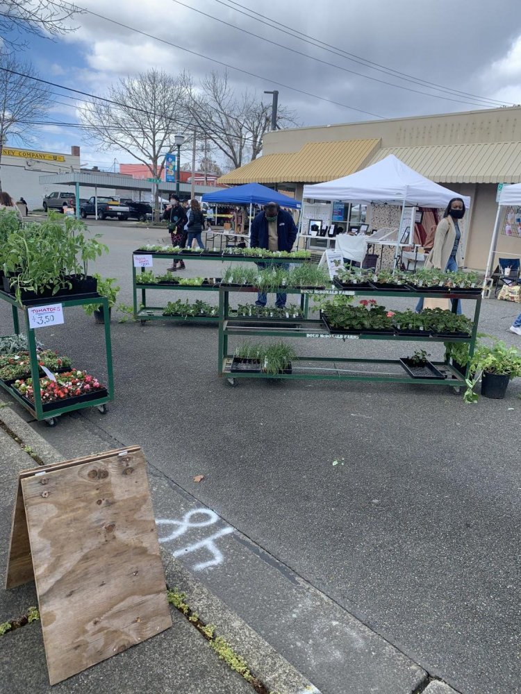 Stand selling plants and starters on April 24th. The Market moved back to Pioneer Park Pavilion around Mother's Day. It runs every Saturday from 9 a.m. to 2 p.m.
