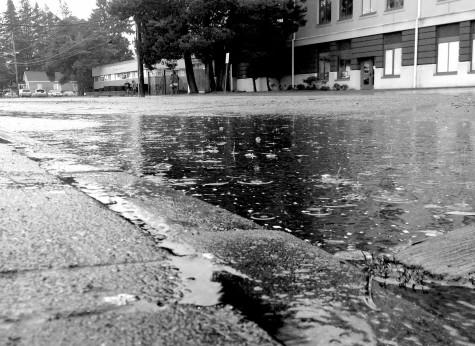 ‘Lake Puyallup’: how ,why