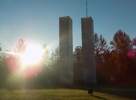 Twin Tower Replicas in Edgewood