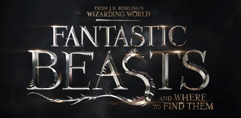 ‘Fantastic Beasts’ Lives Up to Expectations