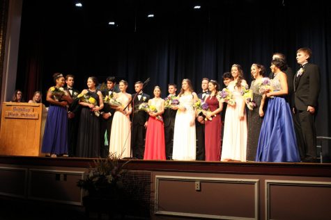 Daffodil Princess Crowned