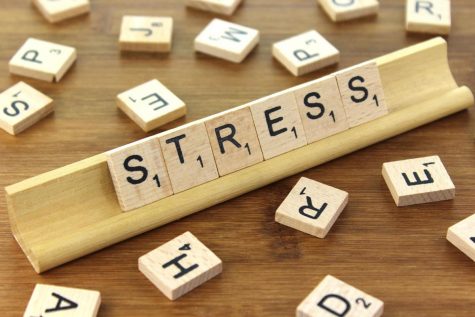 Classes to eradicate student’s stress
