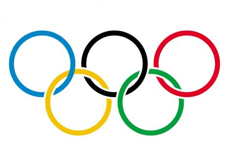 Winter Olympic recap