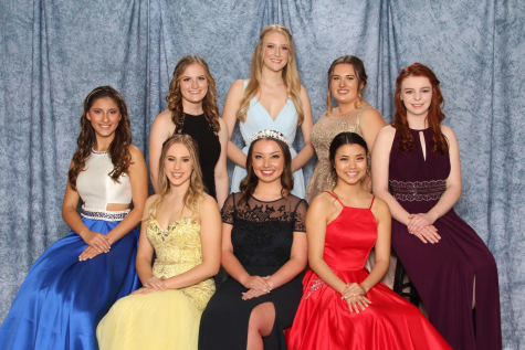 My daffodil experience