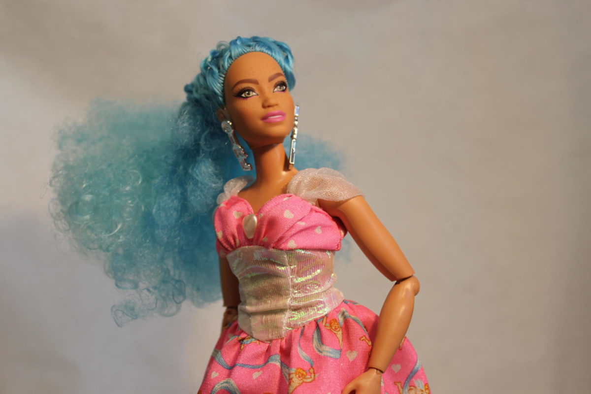A more recent Barbie doll, showing the recent push for diversity in the brand.