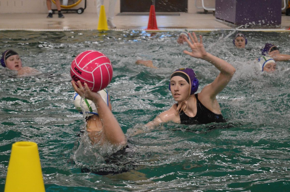 Girls Water Polo Fosters Endurance, Strength